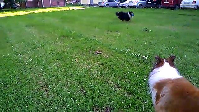 Алан и Лайт 1, июль 17 смотреть онлайн