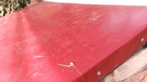 Кролики на гидропонике.ГЗК самый экономичный и самый полезный корм для животных!