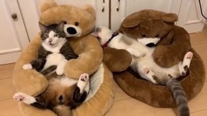 Зачем все испортил