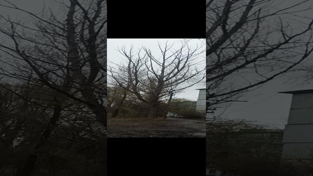 Луганск такие вот у нас дворы