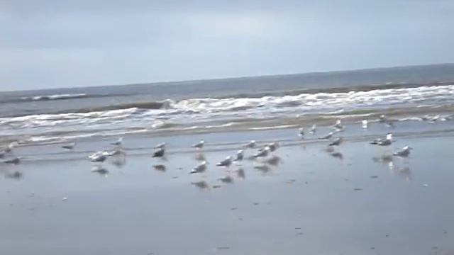 Amsterdam Ymuiden aan zee Sightseeing смотреть онлайн