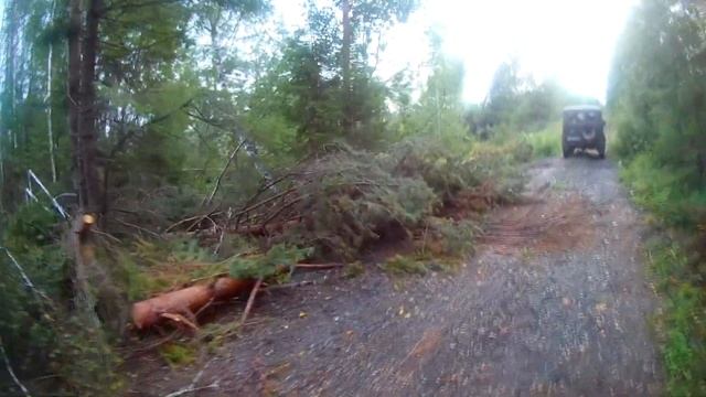 Ураган на Урале 3.06.2017 Что стало с лесом? смотреть онлайн