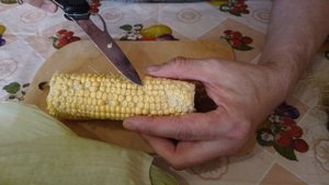 Как правильно варить кукурузу молочной спелости