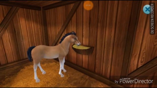 Как быстро вырастить лошадь в Star Stable Horse