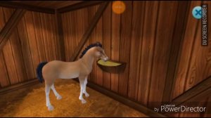 Как быстро вырастить лошадь в Star Stable Horse