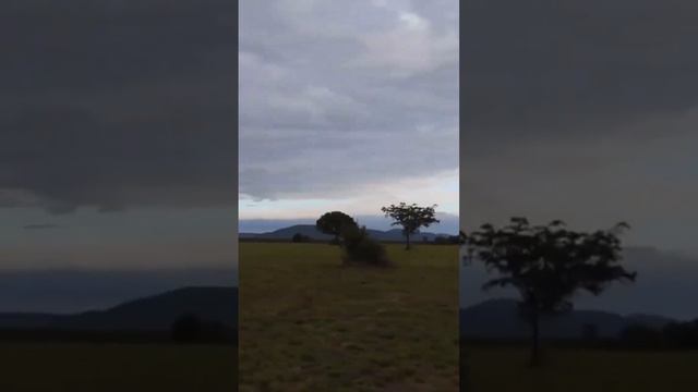 24 Hours in Kruger National Park *African Safari Experience* смотреть онлайн