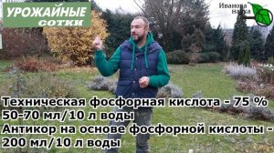 Мох - безопасный и прекрасный помощник!  Как развести мох?