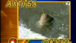 Диалоги о рыбалке №92 Ахтуба  Окунь  Зима