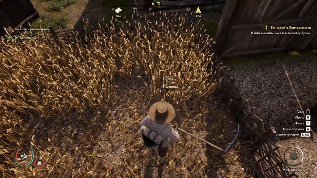 23. Урожая на полях, как из рога изобилия 😁. #medievaldynasty совместно с @Alekswestler. смотреть онлайн