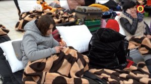 Украинские беженцы в Бельгии