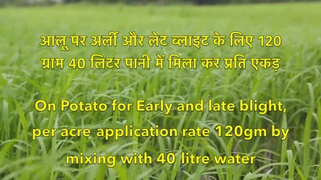 Bayer Antracol | PI Sanipeb | Dhanuka Protocol | Propineb 70% WP | Antracol Fungicide | Contact