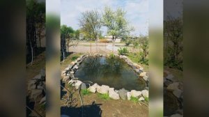 Пруд своими руками!!!Пруд дома,ловля рыбы дома.Карп в маленьком пруду.