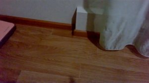 Как избавиться от клопов