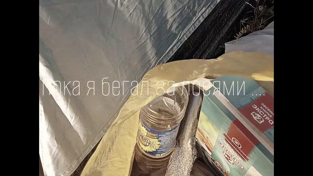 Карелия, которая удивляет... Почему о ней так мало говорят?  #автостоп #карелия #приключение #шок