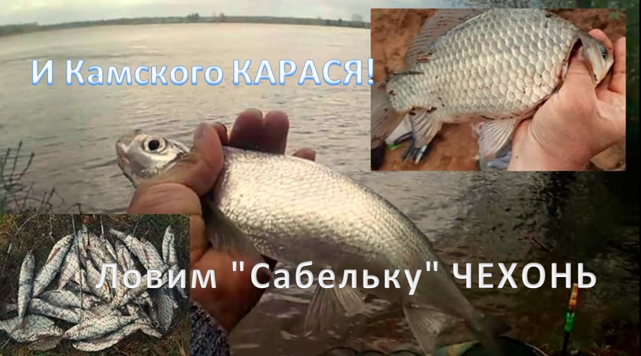 Ловим "Сабельку" ЧЕХОНЬ!!! И Камского КАРАСЯ! ( Река Кама 30.05.2022г.)