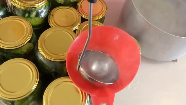 ? ХРУСТЯЩИЕ ОГУРЧИКИ НА ЗИМУ! ?Ароматный, простой, ПОДРОБНЫЙ РЕЦЕПТ!