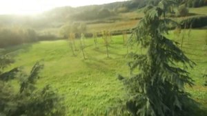 Chilling with drone Pt.1| Happymodel Crux 35 [ Elrs V2 ] + Runcam Thumb