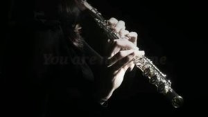 Alan walker - Alone { Flute cover}.