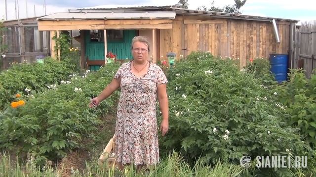 Природное земледелие в Сибири часть 3