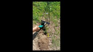 Как поймать крота, слепца,крысу. Кротоловка. Как избавиться. Отзывы покупателей №11.