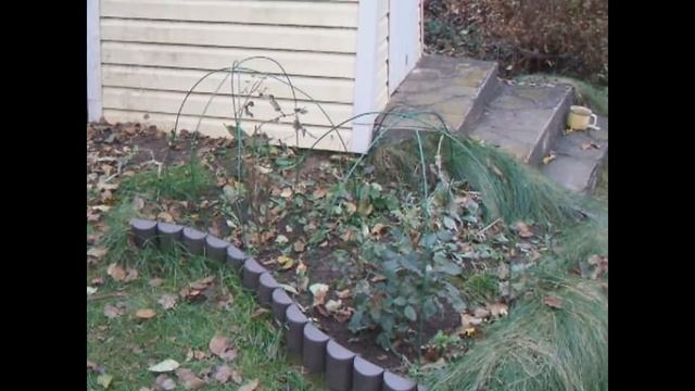 Укрываем растения на зиму смотреть онлайн