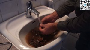 Запуск Аквариума травника без фильтра для начинающих! Аквариум мечты по цене мечты!