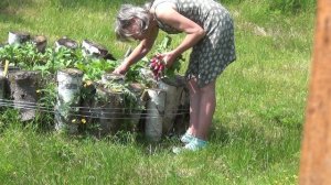 Мы к бабуле на чаек рванули.mp4