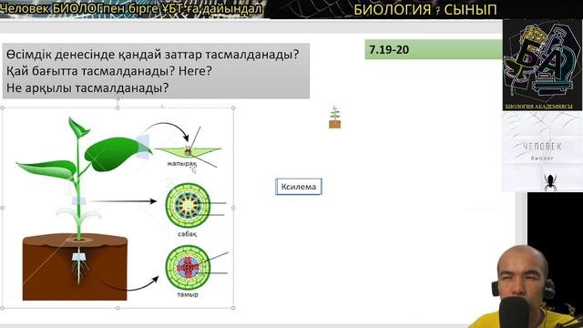 7.20. Өсімдіктердегі заттардың тасмалдануы? #флоэма #ксилема #биология #7сыныпбиология #ұбтбиология