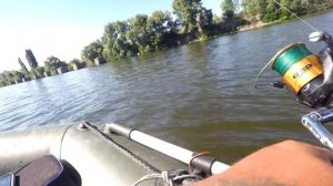 КРОКОДИЛ VS ЛЕЩЬ! Ловля леща на фидер 2018