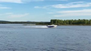 Афалина 460