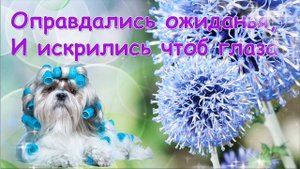 Поздравление с днём рождения ? Зажигательная песня С днём рождения! С днём рождения подругу