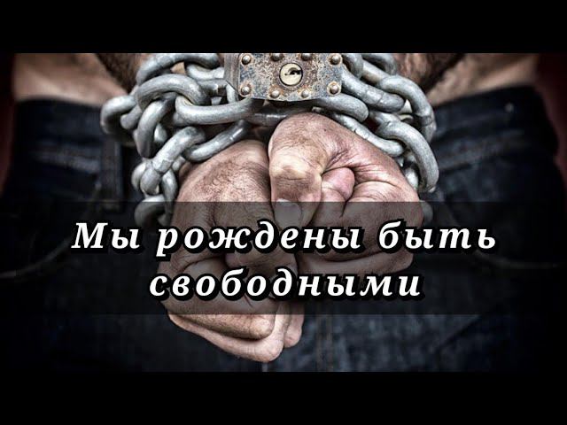 Секрет СВОБОДЫ | Выход из социального РАБСТВА смотреть онлайн