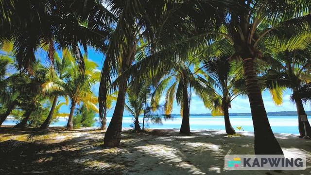 Relaxing Music with Beautiful Beaches #relaxingmusic #relaxingsounds #relaxingvideo #beach
