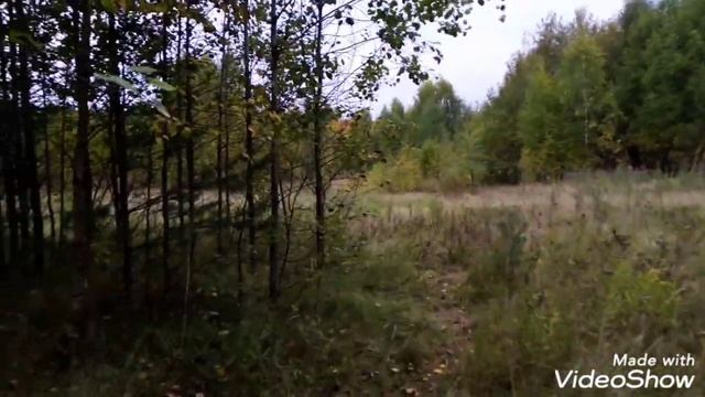 В лес по грибы. МЕДВЕДИ. Красновишерск.Бог отвёл.