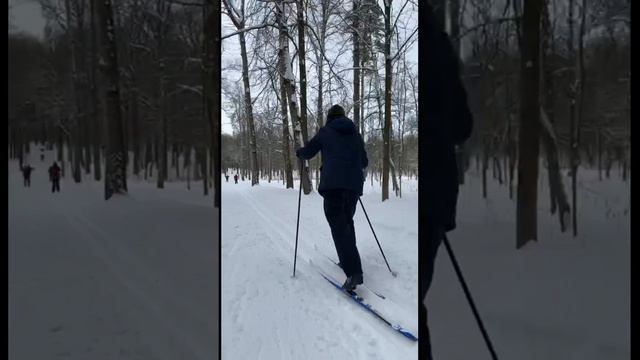 Возраст не отговорка! Анатолий Арнольдович ходит на лыжах в 79 лет!