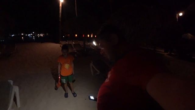 #Монеты Доминикана Ночной коп Скубатектор вместо пинпоинтера смотреть онлайн