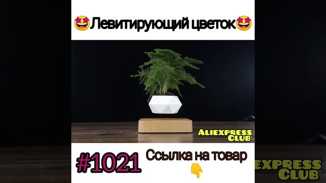Левитирующий цветок