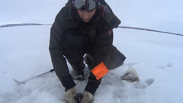 Белый плен души, ловля щуки в тундре на жерлицы смотреть онлайн
