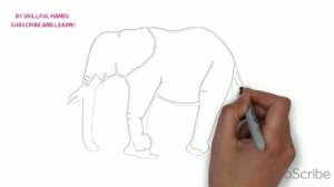 How to Draw an Elephant / Как нарисовать слона