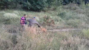 Стаффорд спас ребенка от хулигана