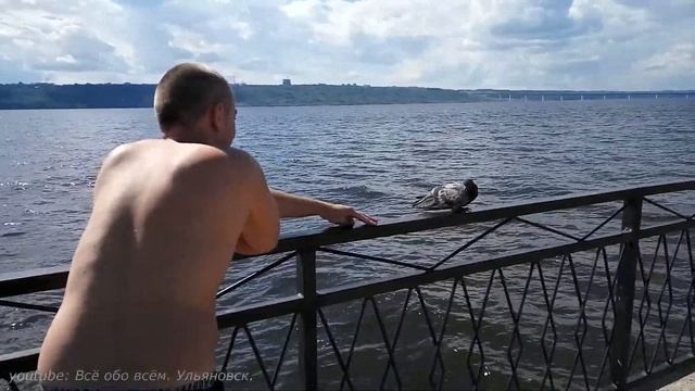 Как поймать голубя смотреть онлайн