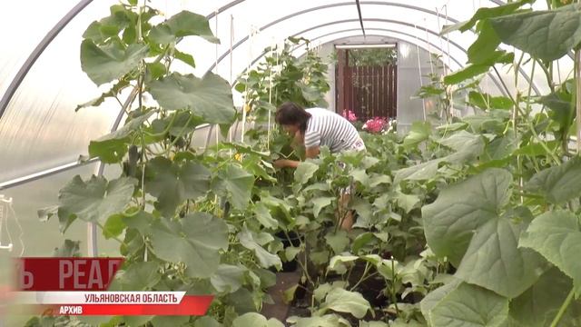 Помоги, мать-природа! Отчёт аграриев и Минприроды в ЗСО смотреть онлайн