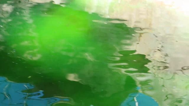 Зоопарк Калининград. Экскурсия. смотреть онлайн