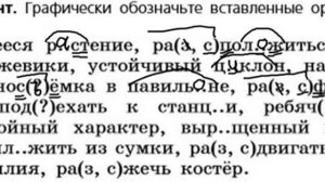 Русский язык 6 класс (Ладыженская). Урок 5. Упражнение 30