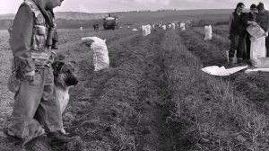 Стена   группа Малолетка