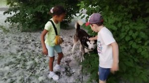 Июль 2023 года Архангельск