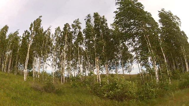 GOPR2044 Тихий Плес.30 июня 2014 смотреть онлайн