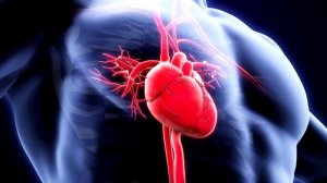 Натрий. Польза и действие на организм.