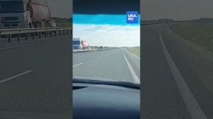 На трассе под Тюменью лось гонялся за автомобилями