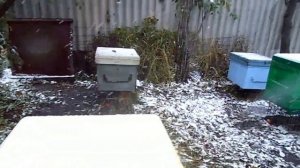 ульи ппу способ зимовки?открытое сетчатое дно(часть 1)